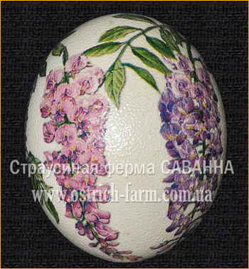 Страусиное яйцо Глициния