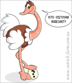 ������ - ���������� ����