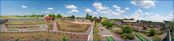 панорама страусиная ферма саванна