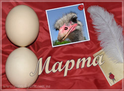 8 марта