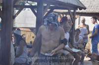 SAVANNA OPEN 2010